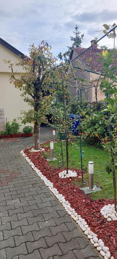 Soba Luic Apartman Zsupanya Kültér fotó