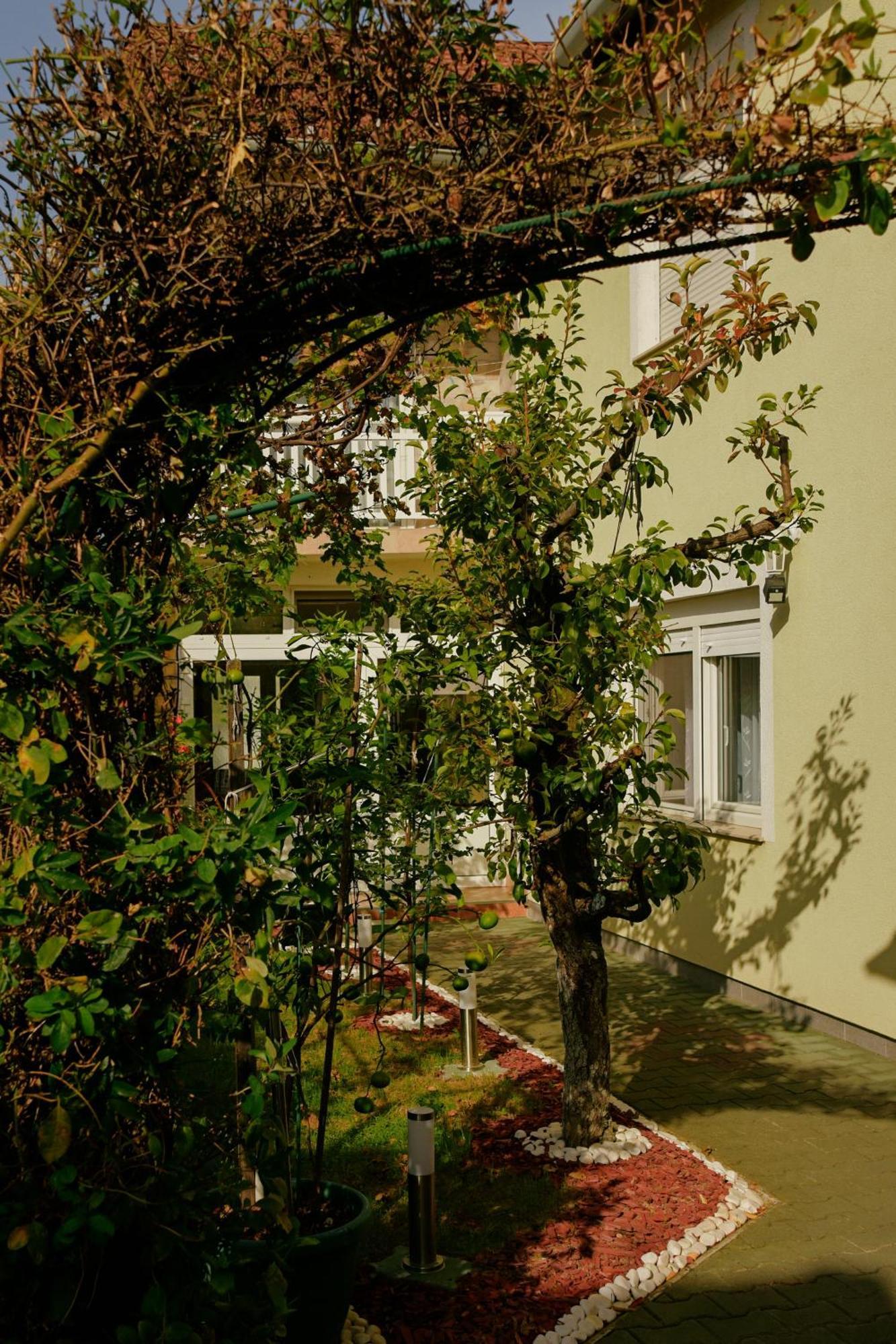 Soba Luic Apartman Zsupanya Kültér fotó